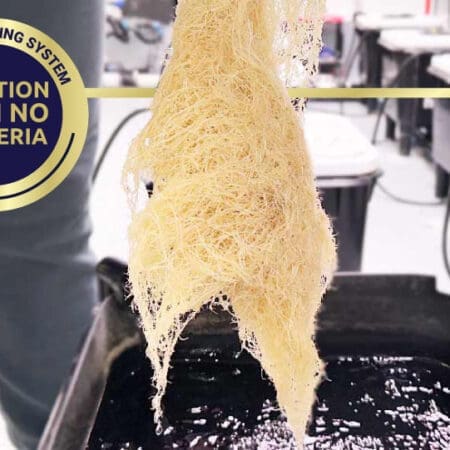 DWC-hydroponic-circulator-root-growth