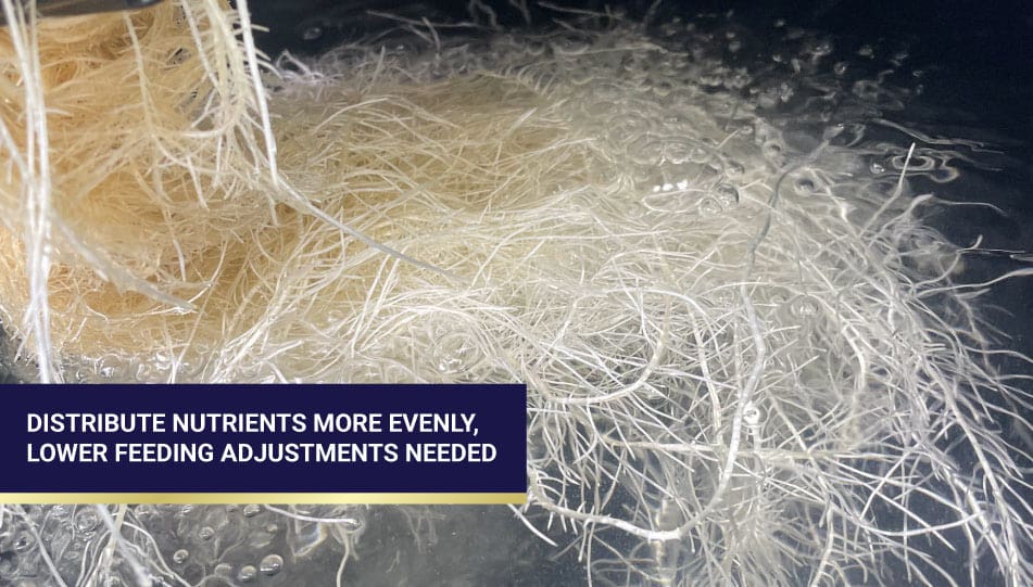 High-Yield Hydroponic Circulation Root Growth